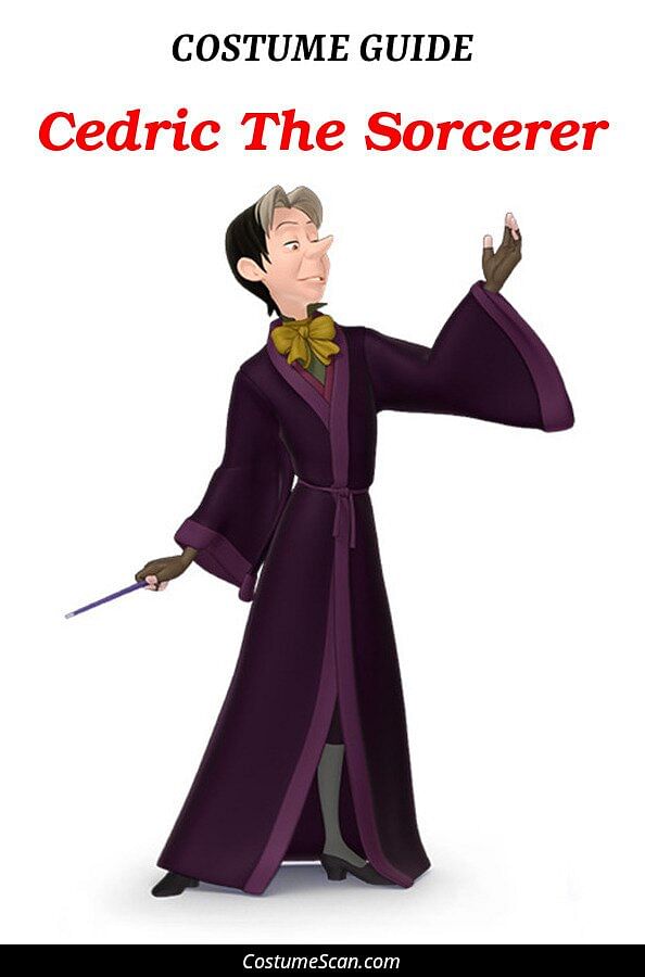 Cedric The Sorcerer costume