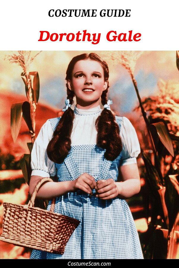 Dorothy Gale costume