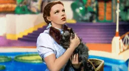 Dorothy Gale costume guide