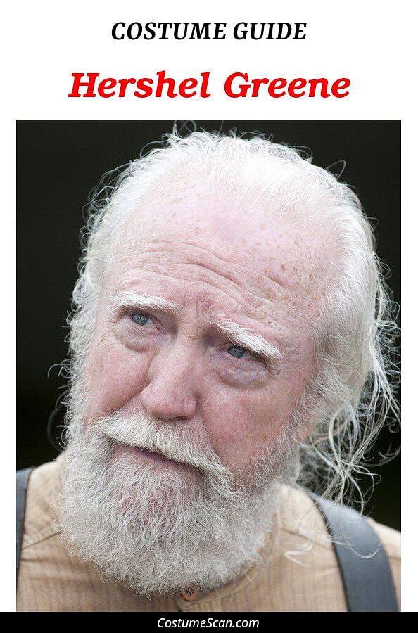 Hershel Greene costume