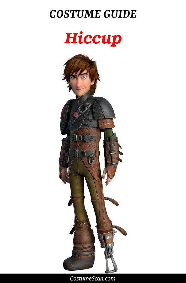 Hiccup costume