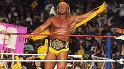 Hulk Hogan costume guide