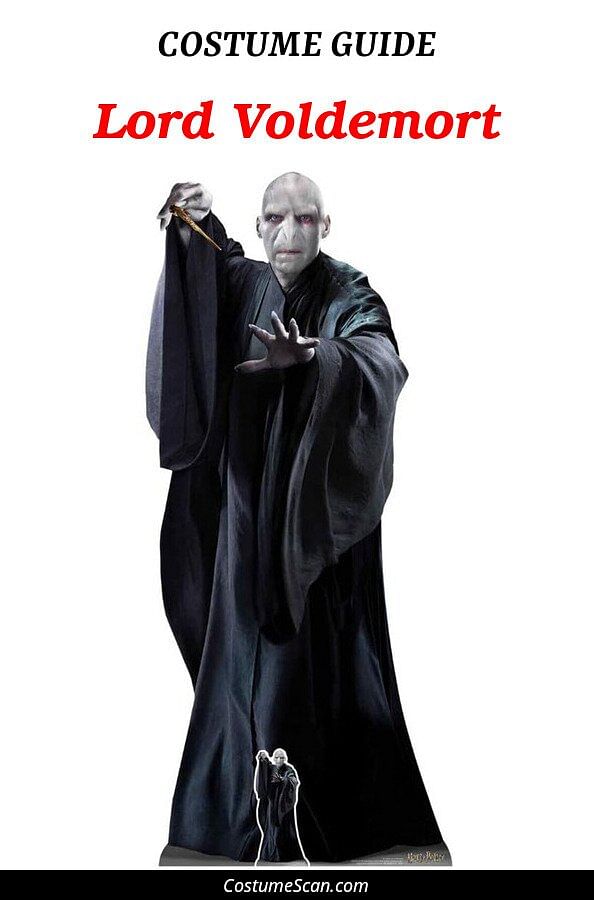 Lord Voldemort costume