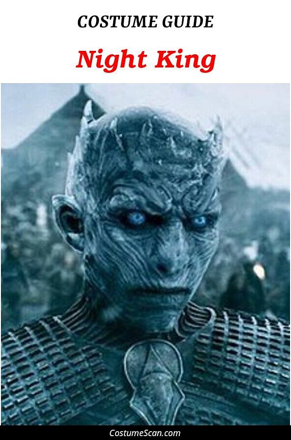 Night King costume