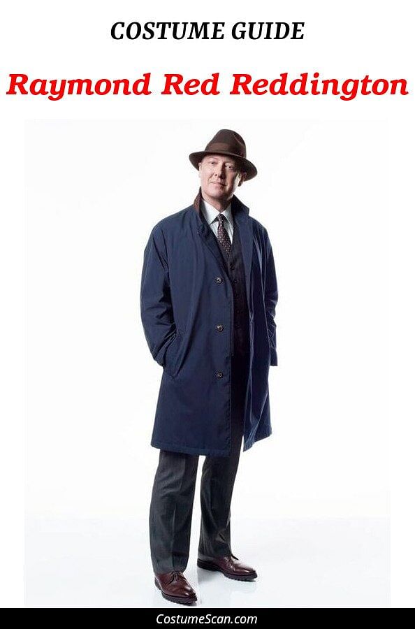 Raymond Red Reddington costume