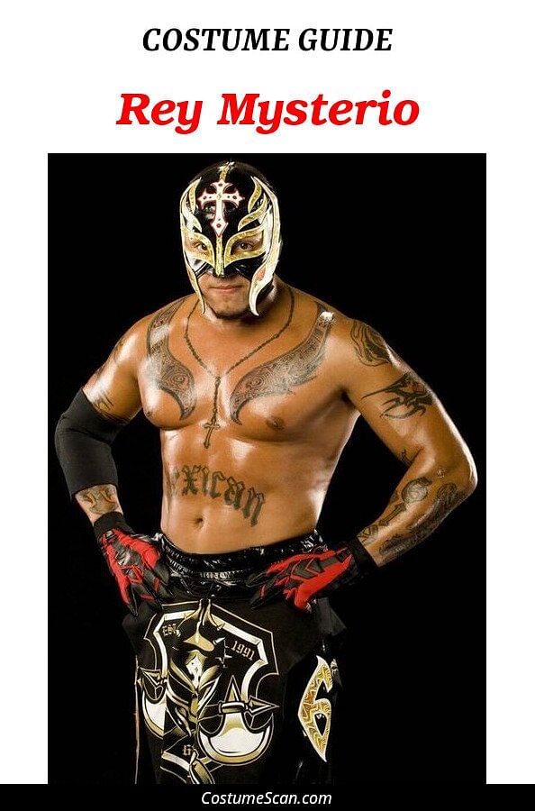 Rey Mysterio costume