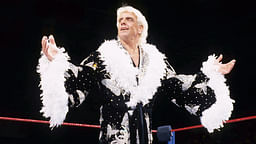 Ric Flair costume guide