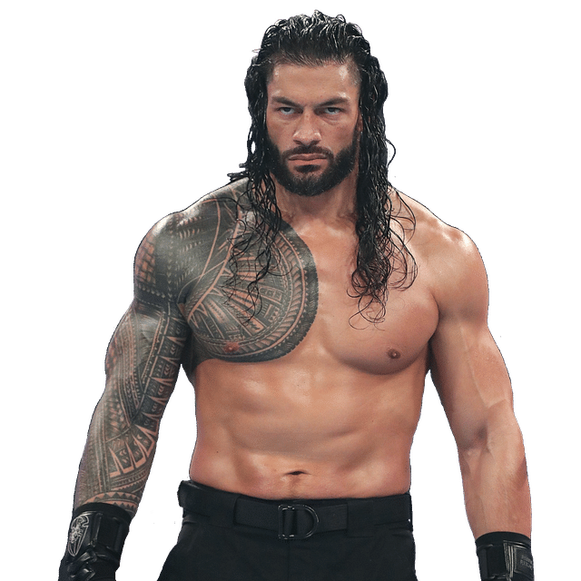 About Roman Reigns