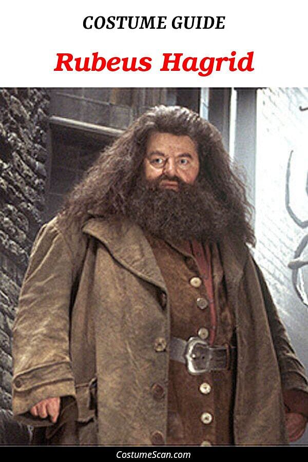 Rubeus Hagrid costume