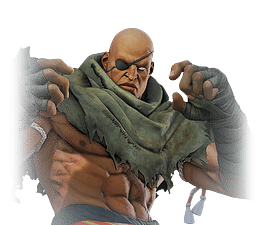 Sagat costume guide