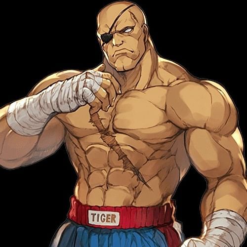 About Sagat