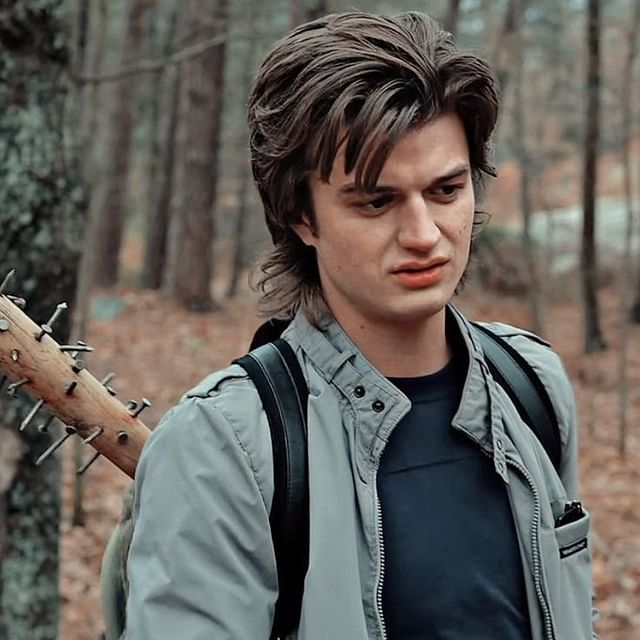 About Steve Harrington