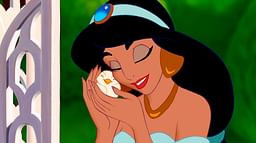 Princess Jasmine costume guide