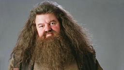 Rubeus Hagrid costume guide