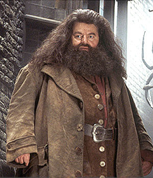 Rubeus Hagrid costume