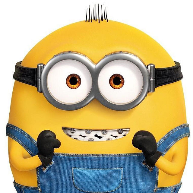 About The Minions